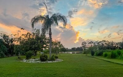 Florida es un Lugar Propenso a las Plagas: Todo lo Que Debes Saber