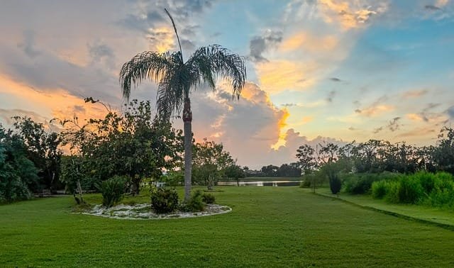 Florida es un Lugar Propenso a las Plagas: Todo lo Que Debes Saber